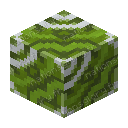 Terre cuite émaillée verte