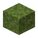 Bloc de mousse