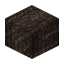 6-Sided Spruce