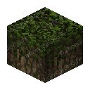 Mossy Oak Log