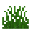 Hautes herbes