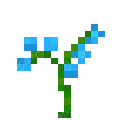 Orchidée Bleue