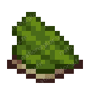 Vert de cactus