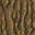 log oak