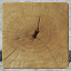 log birch top