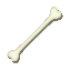 bone