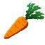 carrot