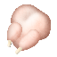 chicken raw